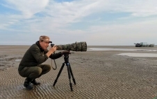 ������ѫ��Ӱʦ Ļ������