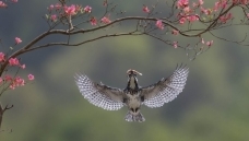 ���̲���æ