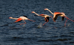 إ�ع�Ӱ�����ʮ��ͬ�Ļ���Ȼ