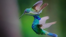 ͬһƬ�����