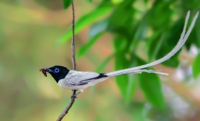 ͬ�������£����񹲼�԰