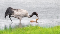 ����������ס����