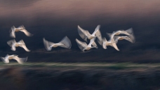 �ɶ����