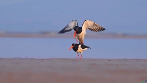 ���ֵĹ���