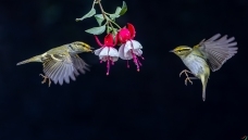 ������ݺ 3