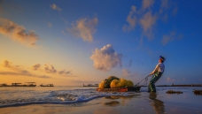 �������