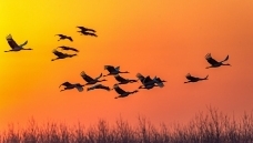 ��ԡ��ϼ��������裡