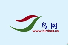 ������ҳ������ѡ����