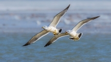 ׷�𡪡���Ÿ