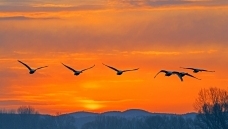 �����еĴ����