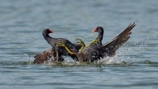 �쵽�ļ���ܵ�ʱ����