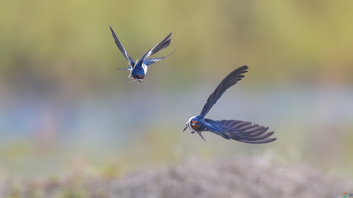 ˭�������Ĵ���