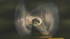 ���Ƹ�С�^:����