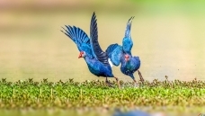 ׷��