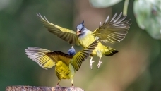 ����֮��