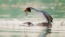 ����������