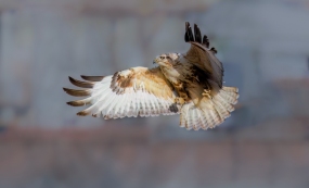 ���\�����