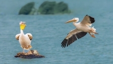 ������----������Լ-̤�縰��