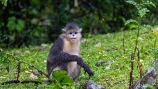 С���еĺ���