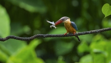 ��(gu��n)����䡪�������³�˫��