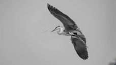 Ϊ���¼ұ���æ