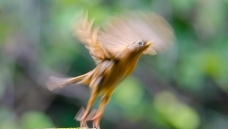 ��ü����Ӱ�������延