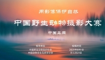 ЇҰzӰِ冢