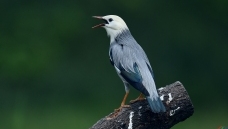 �߸�һ�����´�