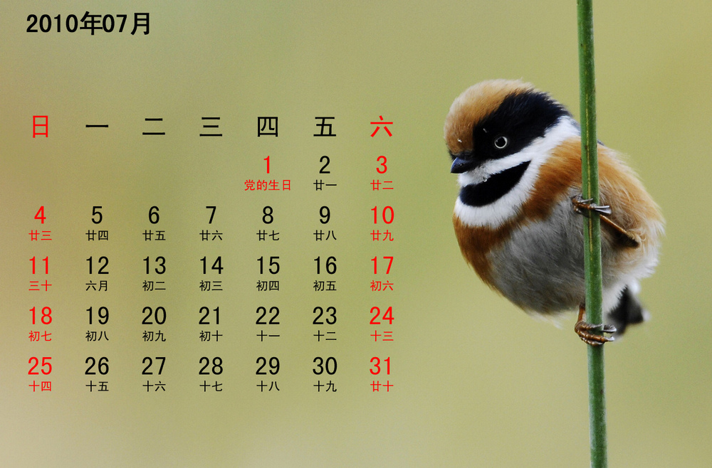 鸟类月历