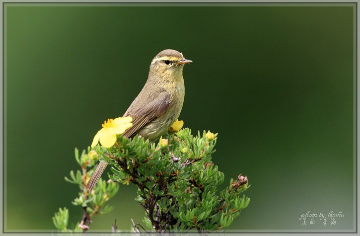 (每周按总帖数排名) 69 河南版 henan 69 2010美丽青海行 恨狐