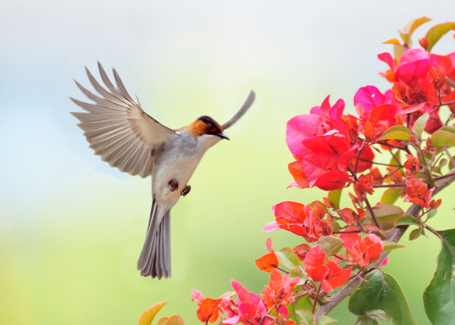 河北版首页精华图片集锦(不断添加)