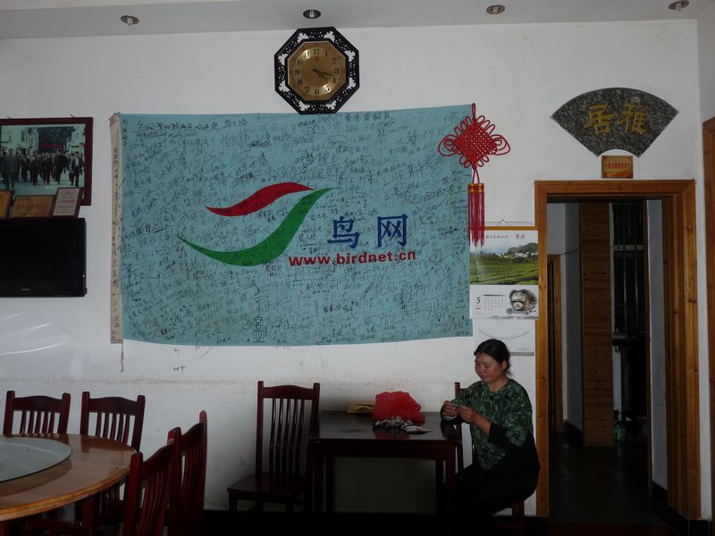 ������������ƹ��ڴ�������ڵ�Ԫ��