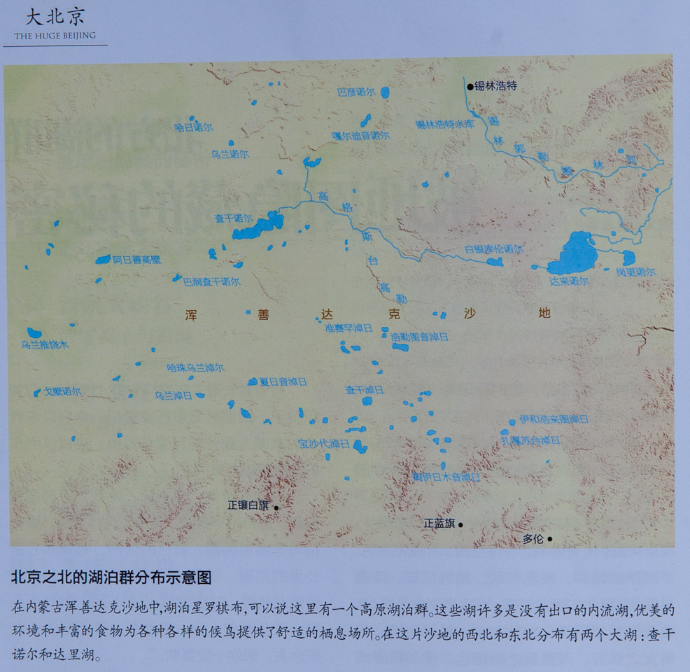 鸟干尔人口_明日方舟史尔特尔图片