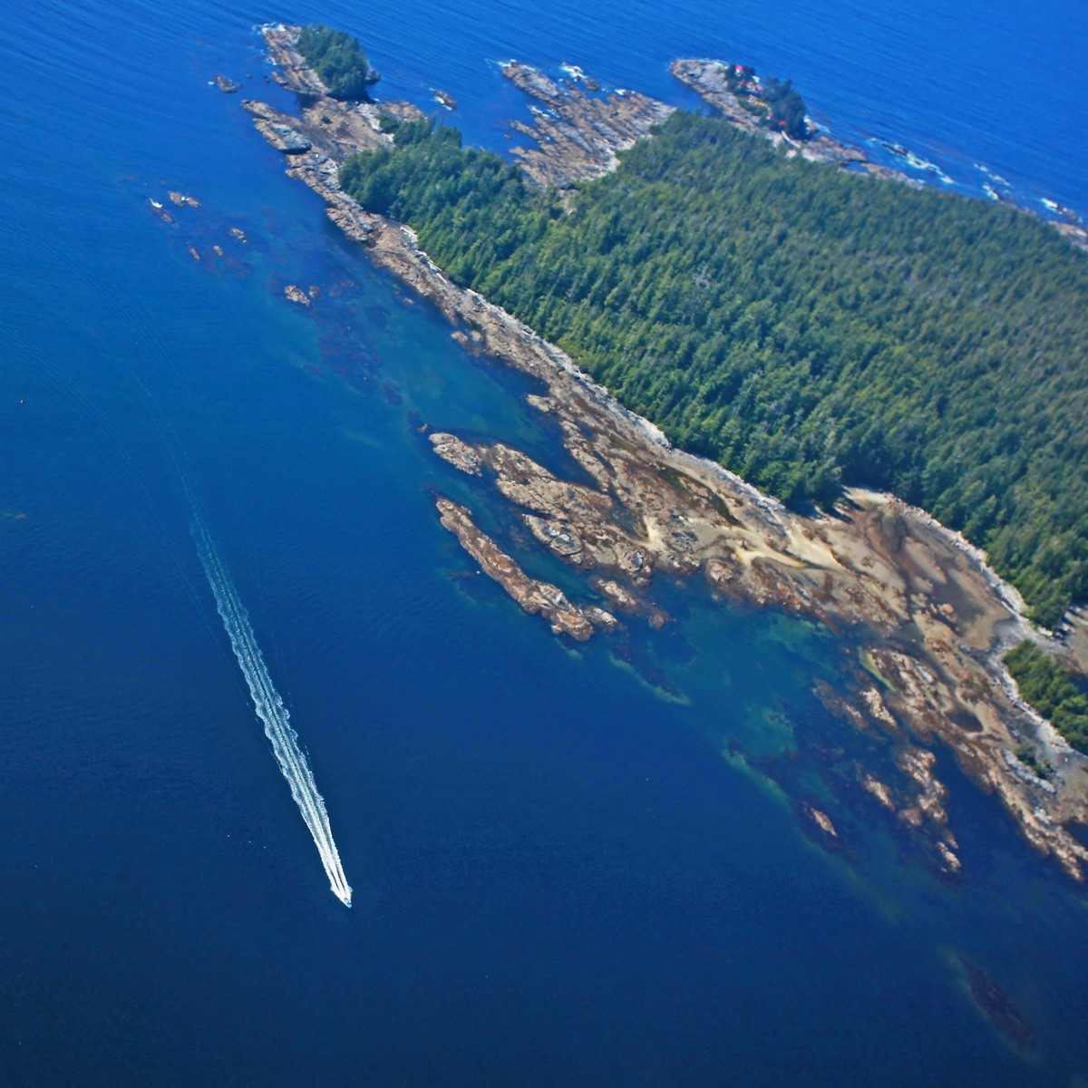 (白头海雕)】】】一刀垂钓白令海【【【