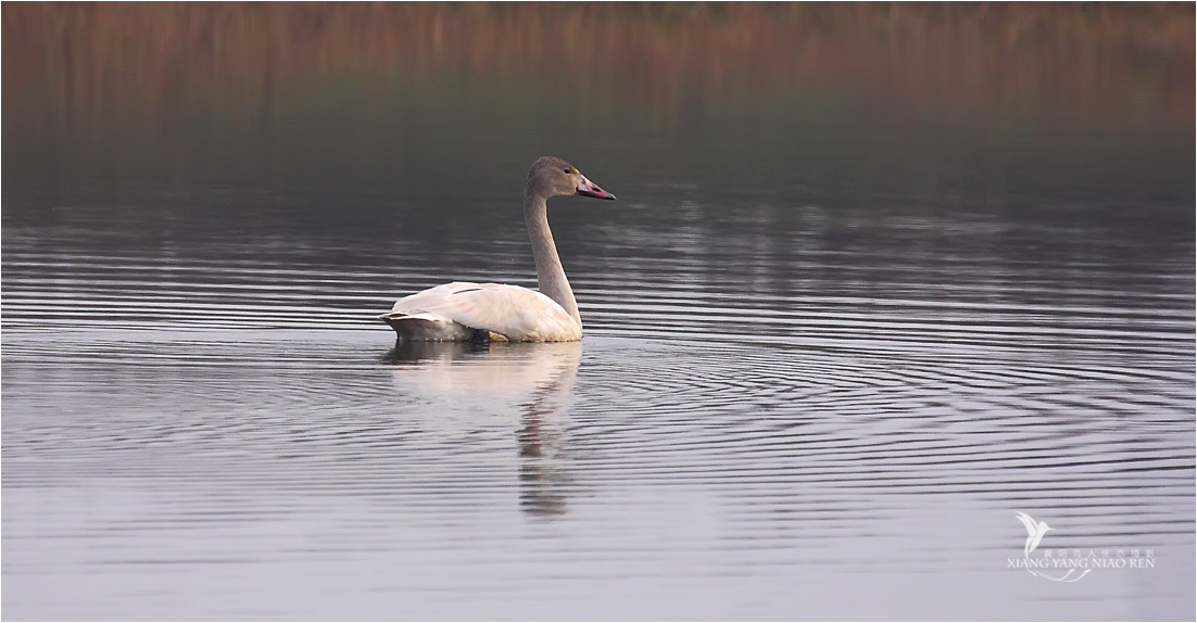 34867892157502.jpg
