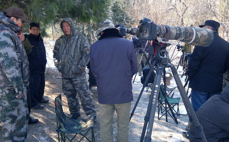 京城拍鸟人--不断记录