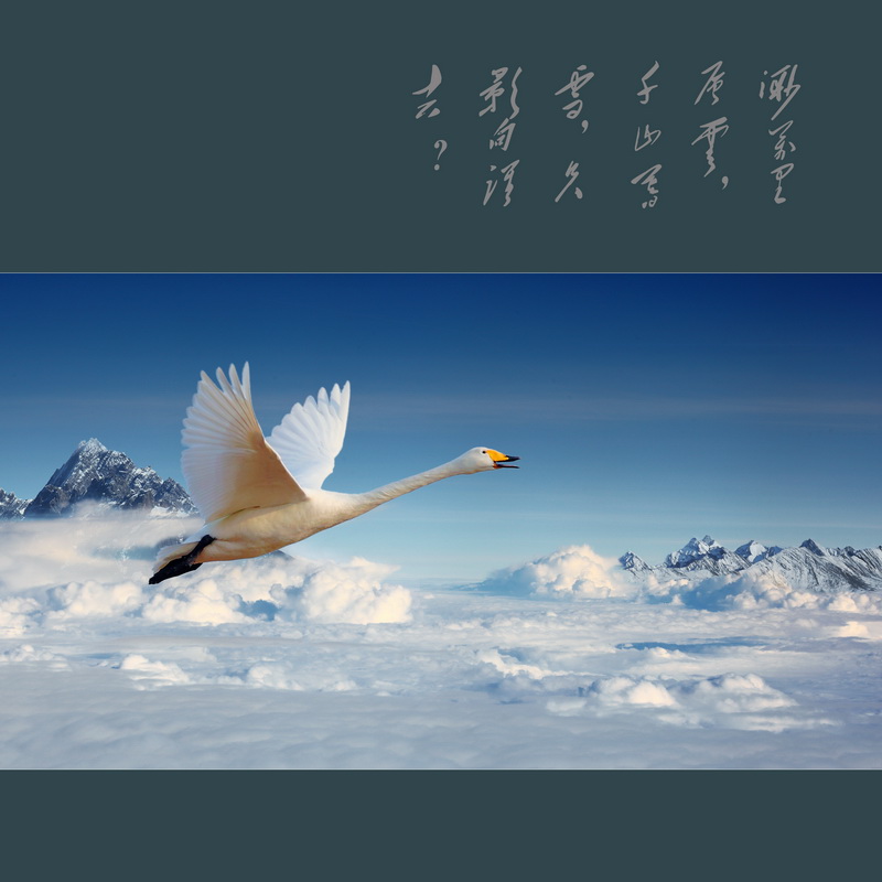 渺万里层云千山暮雪只影向谁去