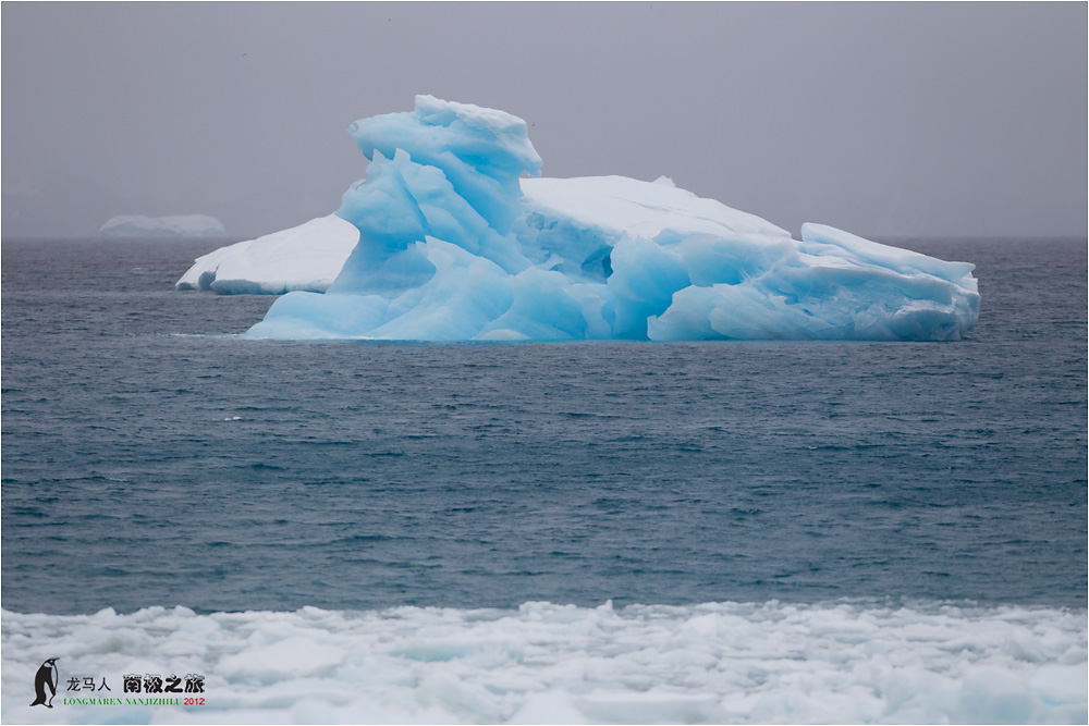 (凤冠黄眉企鹅)圆梦南极——《中国摄影》2011沙克尔顿南极圣诞摄影之