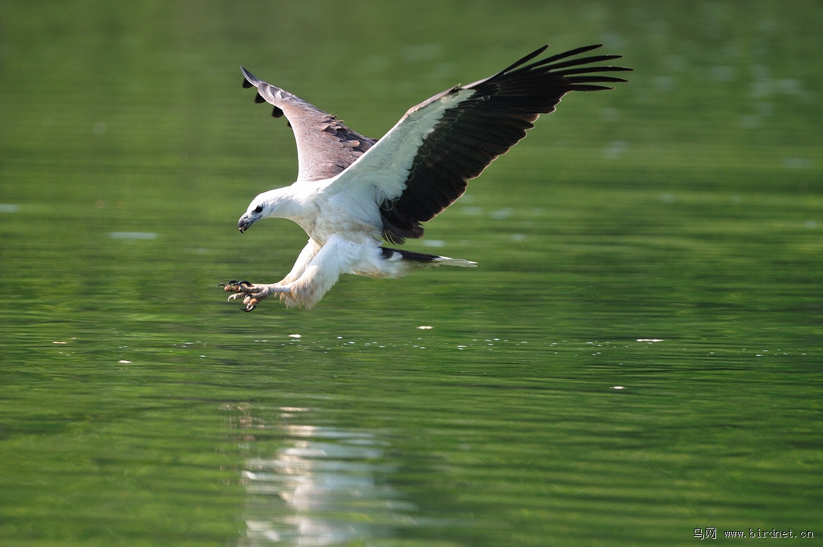 �׸�����