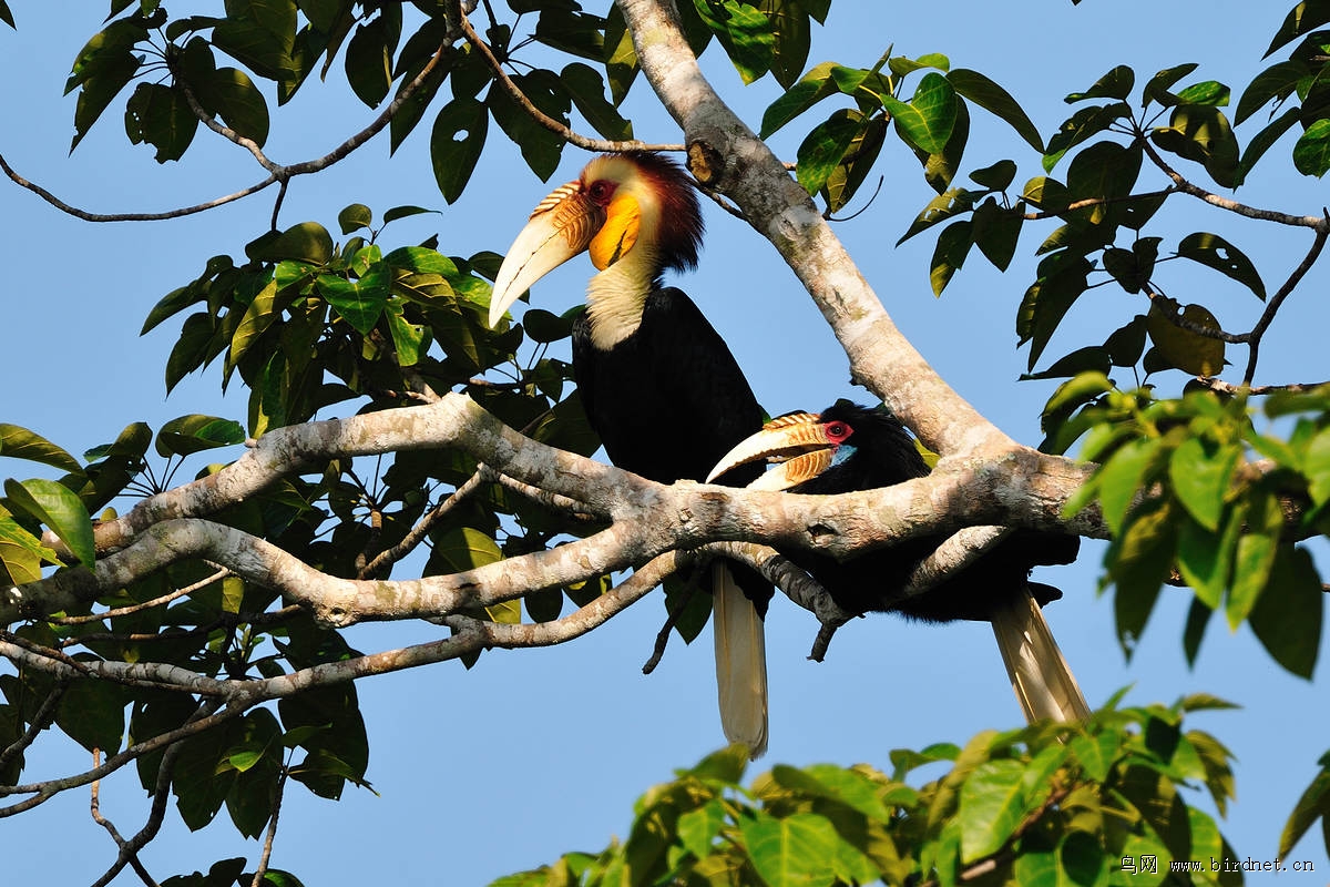 �������Ϭ��