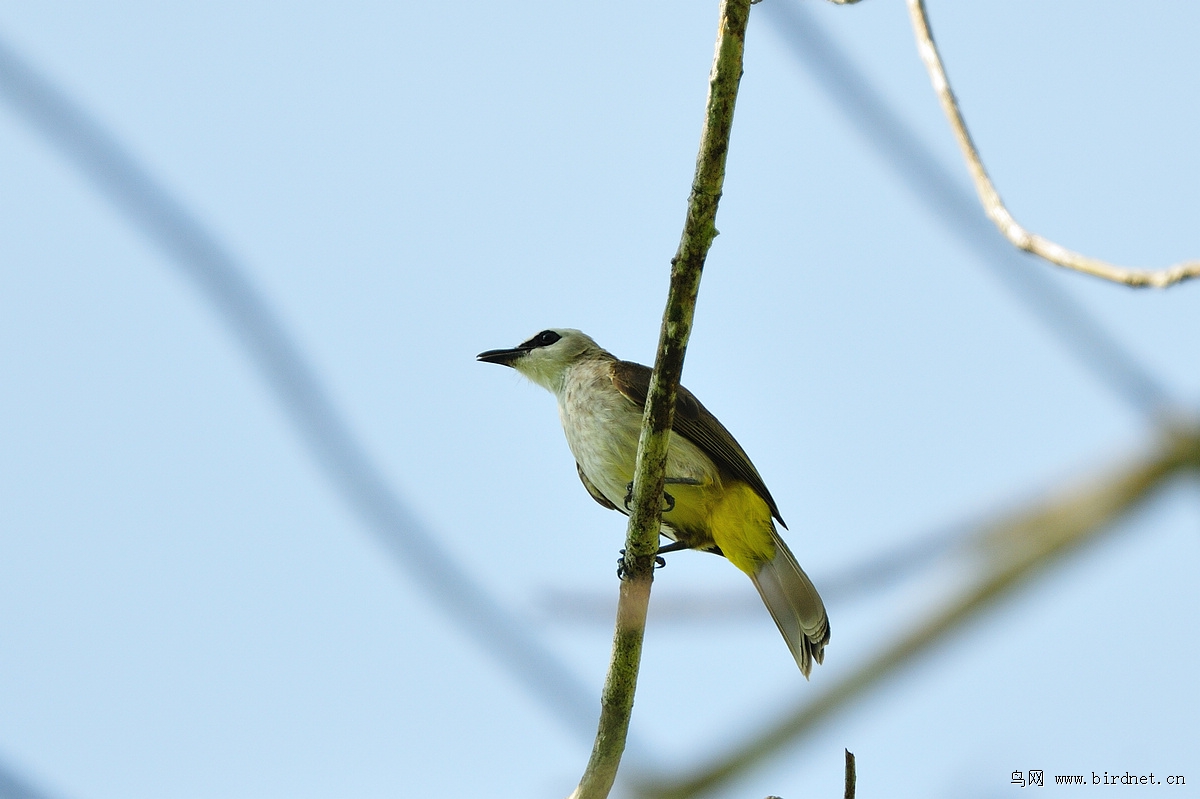 ��ͷ�����ǣ�