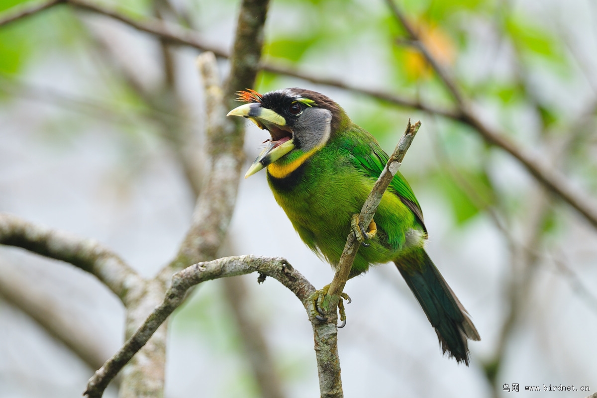 �������ľ��