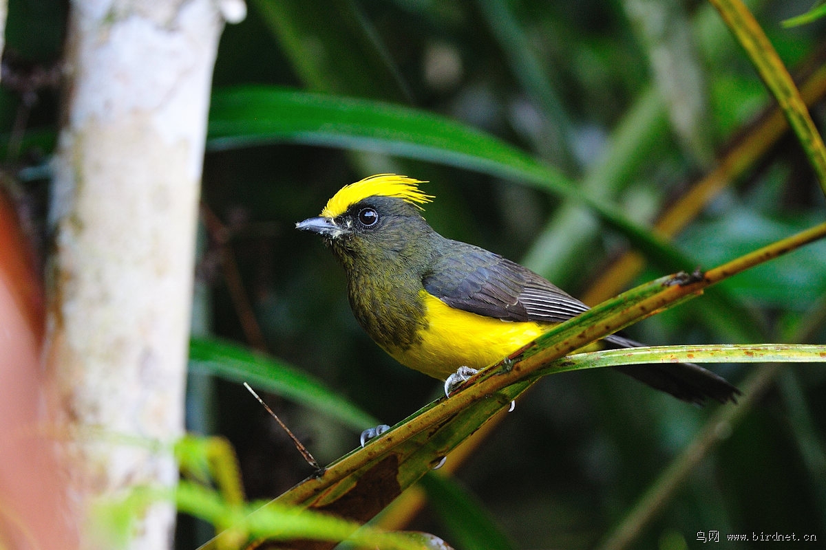 ��ȸ���ƣ�