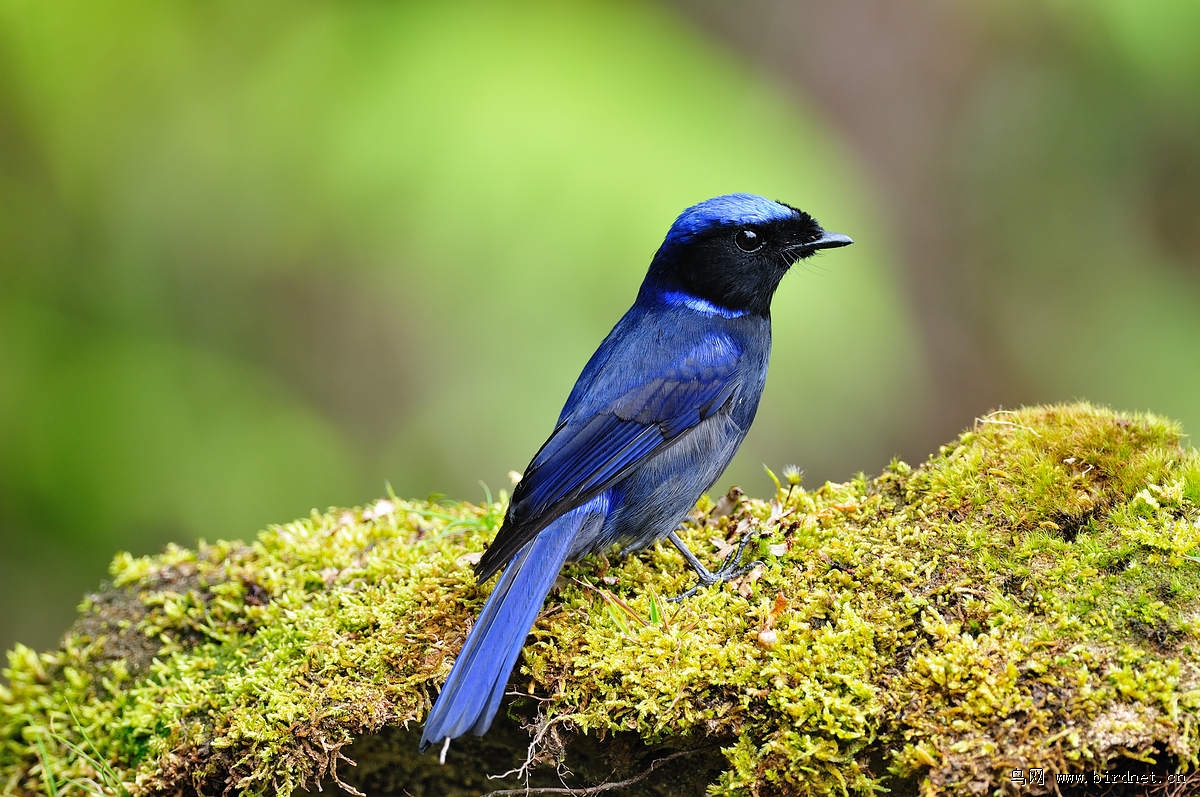 �����l����