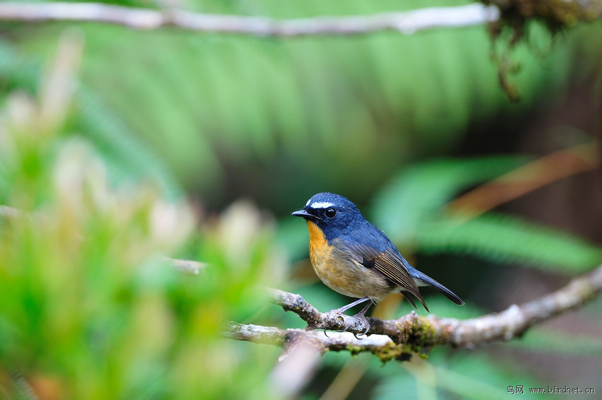 ���������l���ۣ�