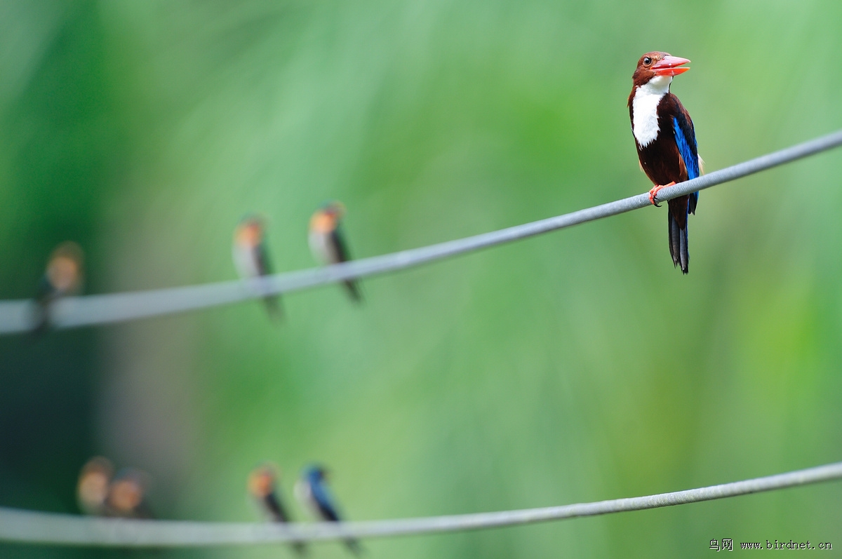 ������䣬�����ϵ�����