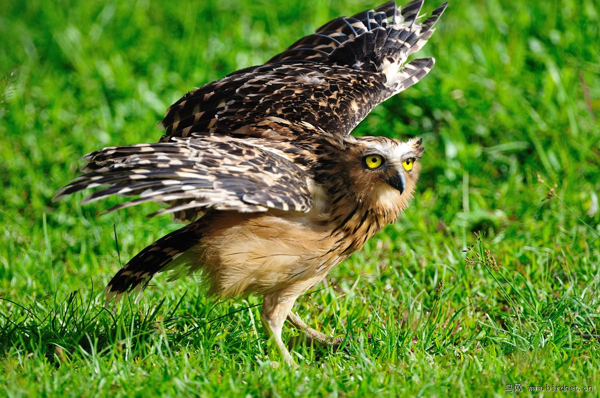 �������^