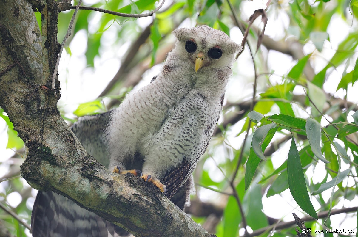 �����m�^