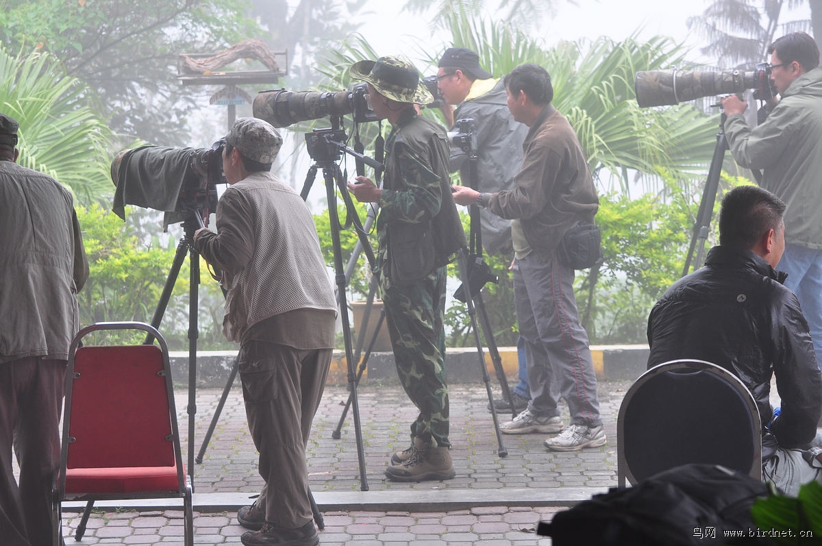 �Ƶ���ǰ����