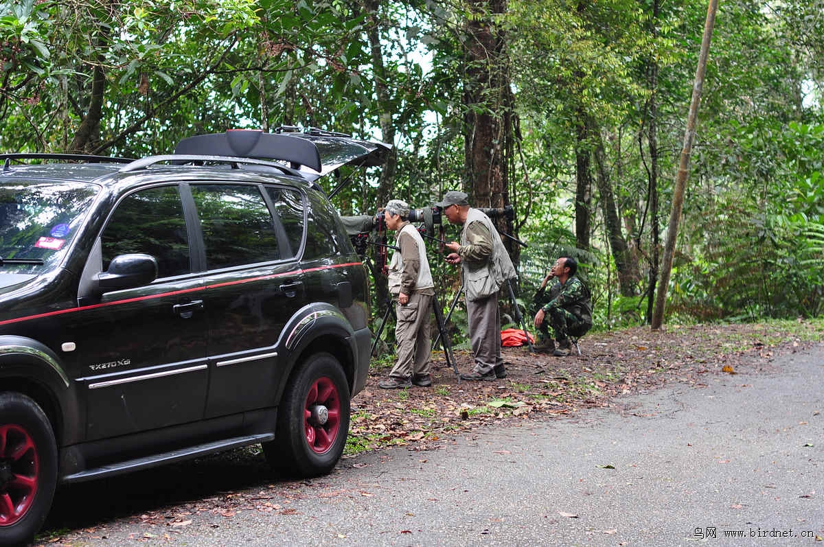 ·������